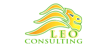 LEO Consulting Microsoft Partner